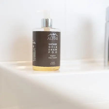 维尔沃公寓式酒店 奥伯古格尔